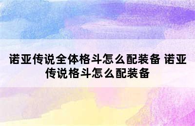 诺亚传说全体格斗怎么配装备 诺亚传说格斗怎么配装备